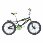 Freestyle bicycle